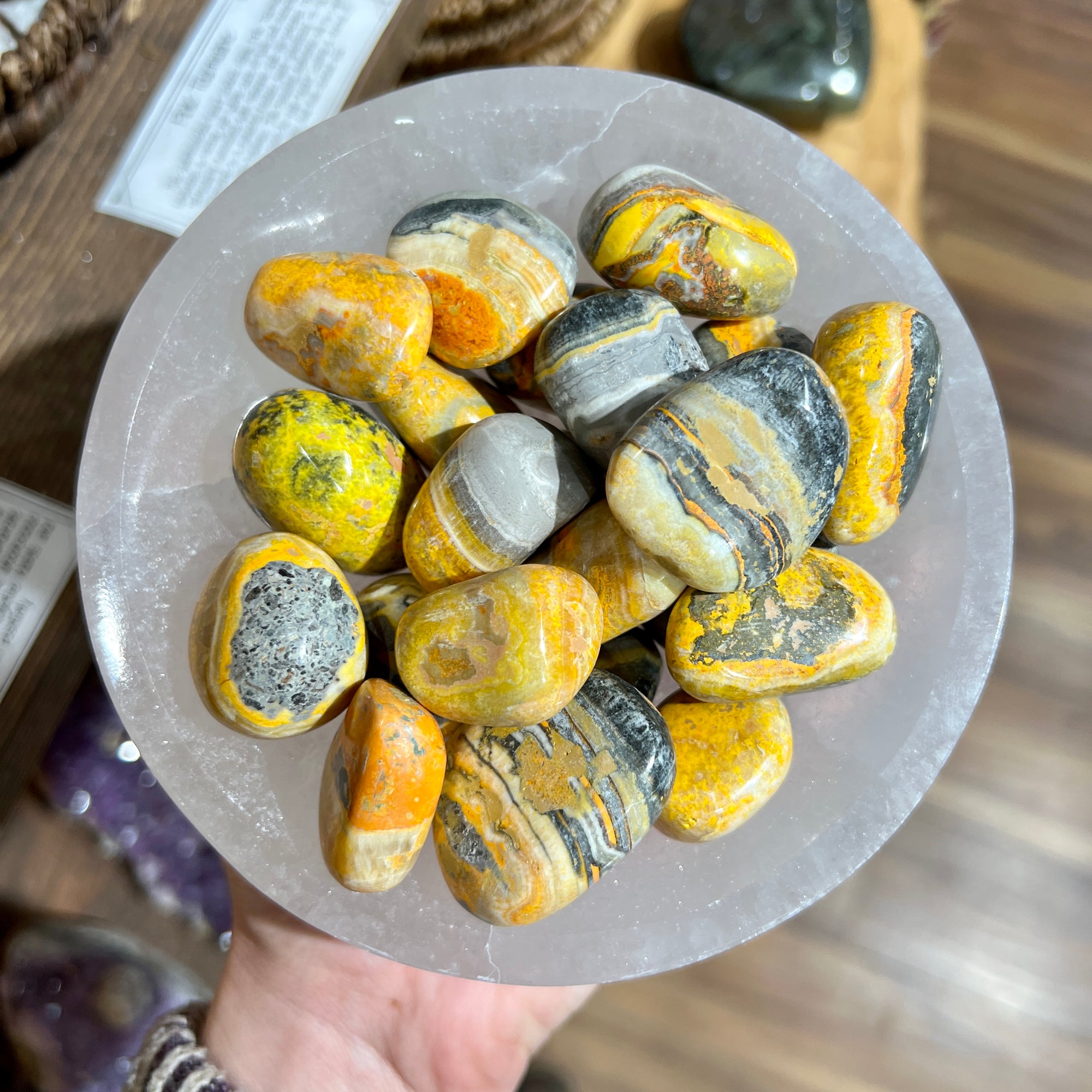 Bumble Bee Jasper