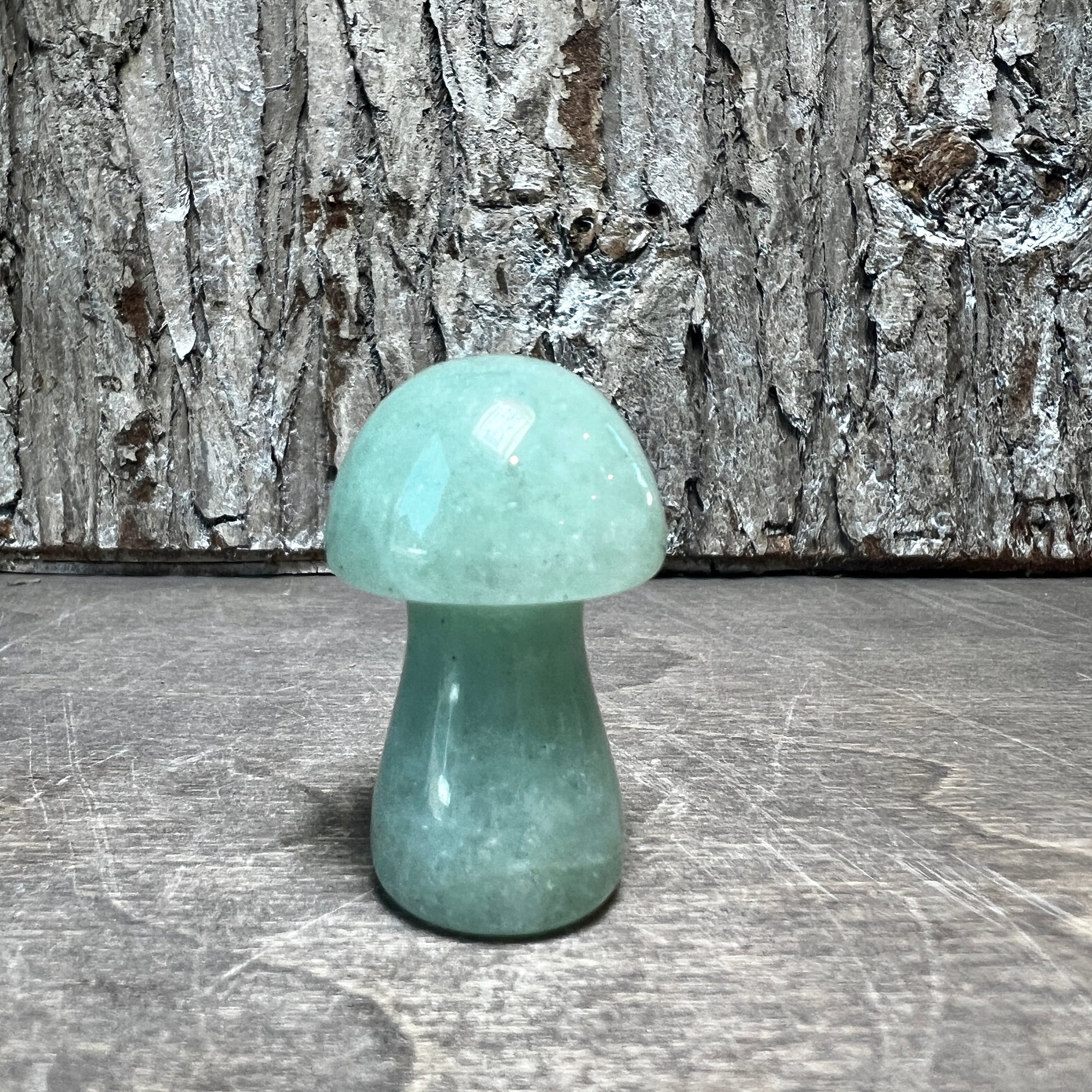 Gemstone Mushroom (Small)
