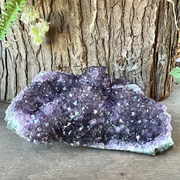 Amethyst Cluster - Small