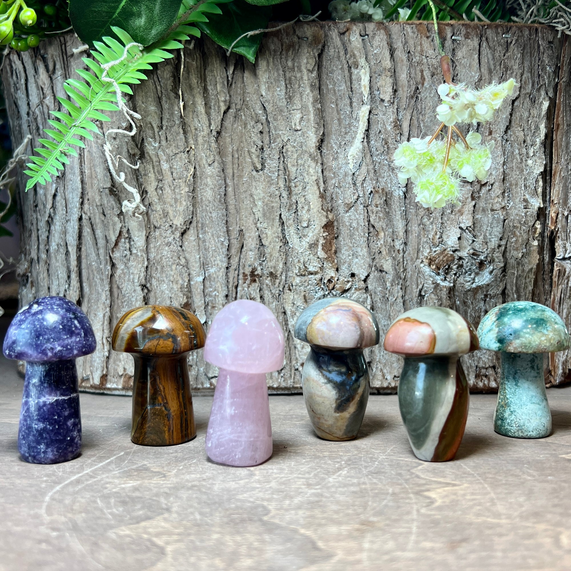 Gemstone Mushrooms
