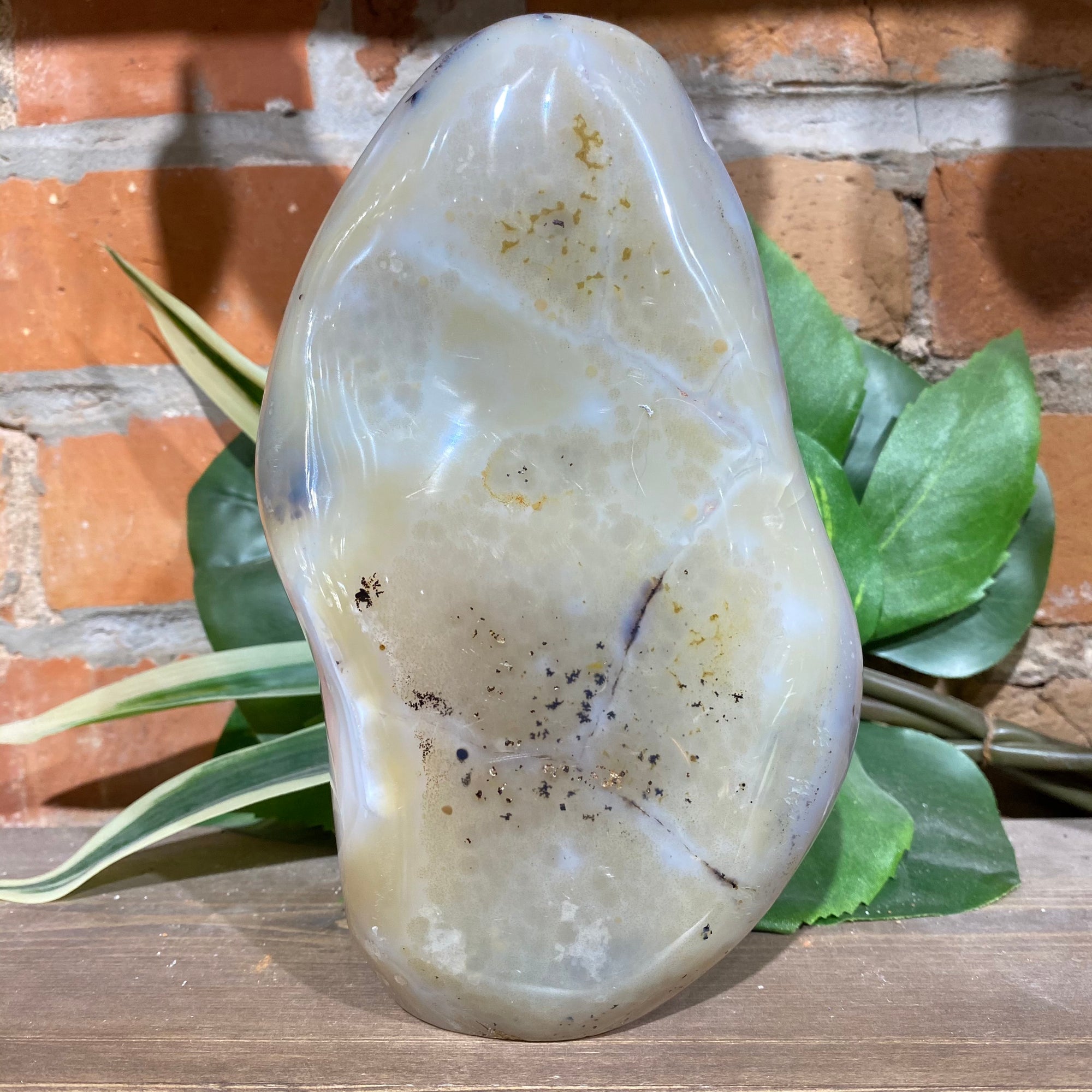 Dendritic Agate Free From