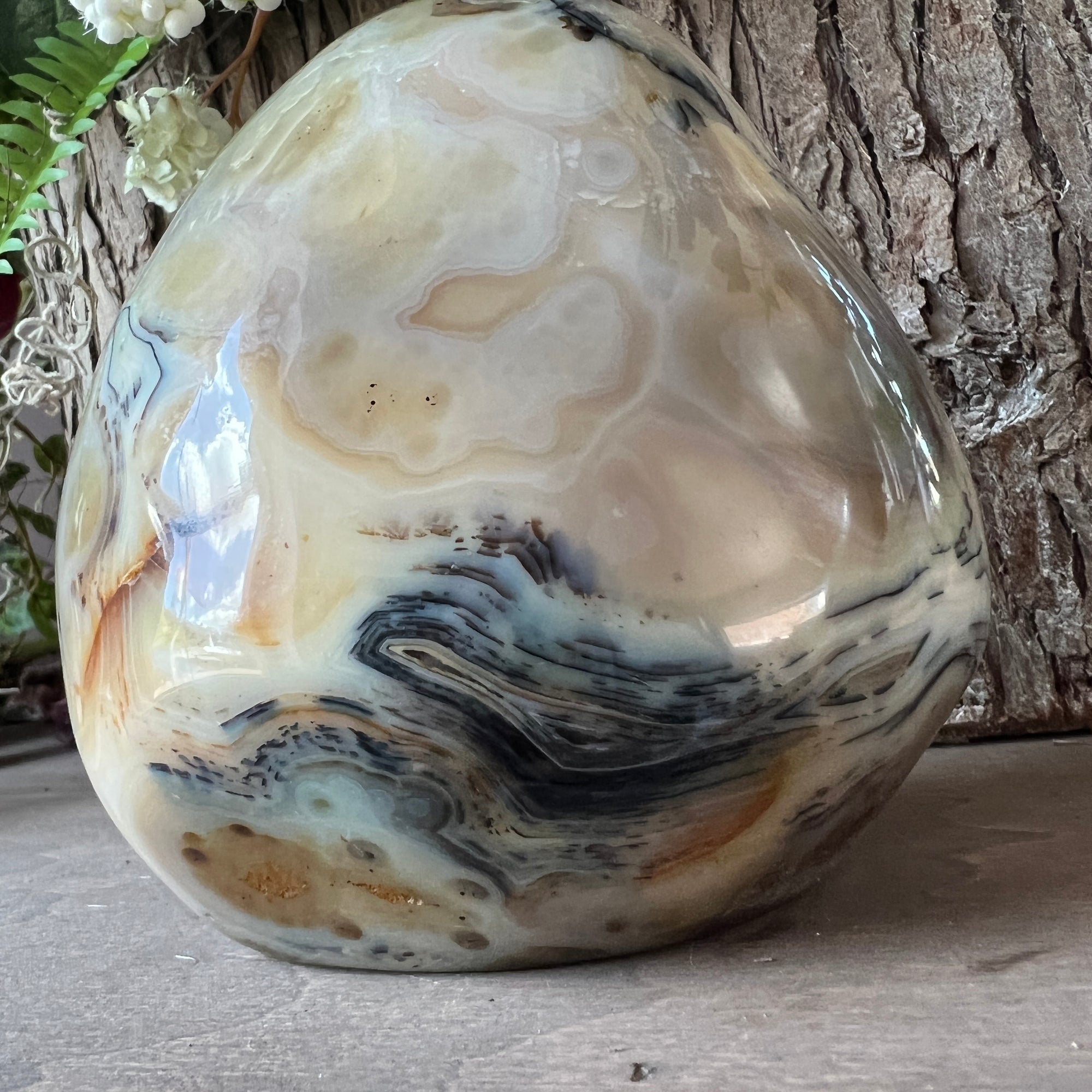 Dendritic Agate Free From
